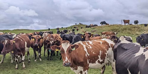 Farming for the Future: Sustainability and Resilience