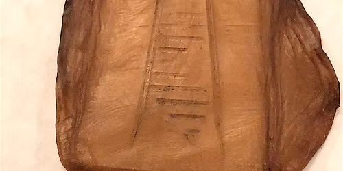 Kombucha 101: Brew and grow your own kombucha!