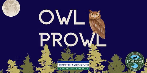 Owl Prowl at Fanshawe CA