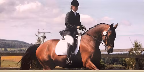 Diana Zajda flatwork clinic