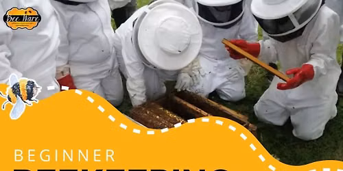 MIDRAND - Easy Buzzing Bee Course -  Beginner Beekeeping