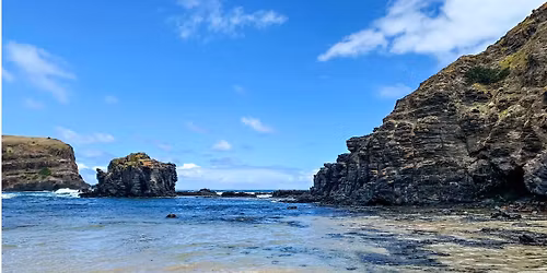 Public Guided Walk - Bushrangers Bay
