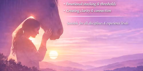 Beyond The Aids - Understanding Horse\u2013Human Communication