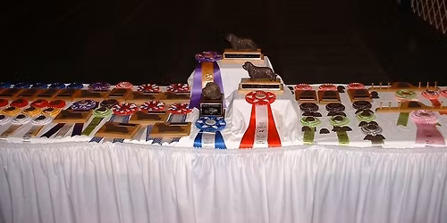 BCCA GLBCC Specialty 