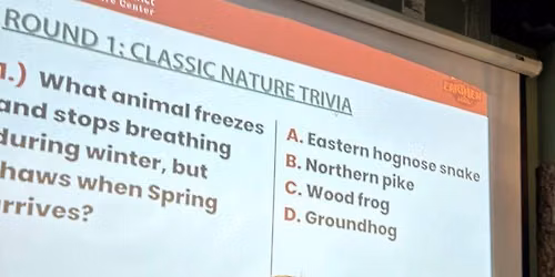 Fall Nature Trivia