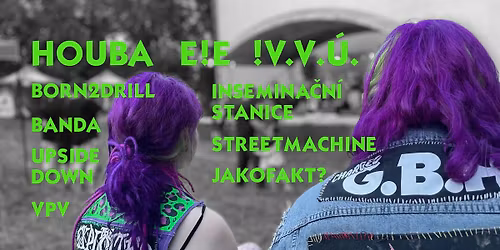 PUNK FEST CHRUDIM VI.