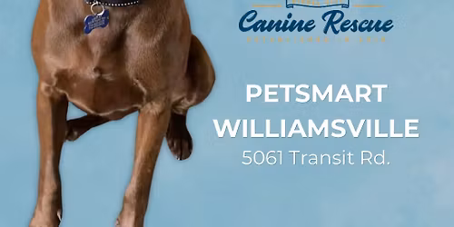 PetSmart Adoption Event! \ud83e\ude75\u2728
