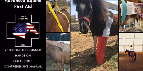 Advanced Equine First Aid