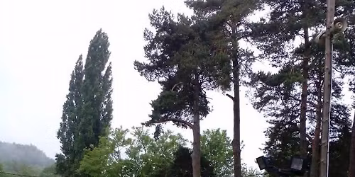 Barbecue des R\u00e9calcitrants