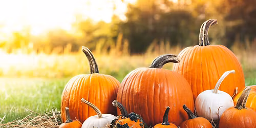 The Yard Stops Fall Festival! 