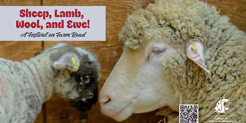 Sheep, Lamb, Wool and Ewe! A Festival on Farm Road