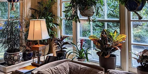 Houseplant Migration