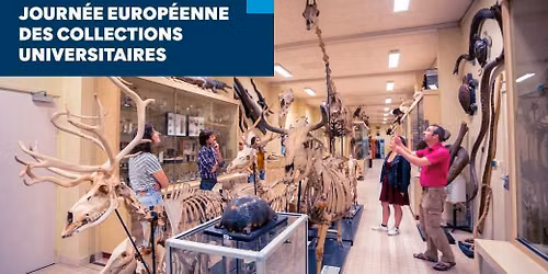Journ\u00e9e Europ\u00e9enne des Collections Universitaires