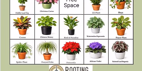 Plant Bingo - June 26 @ 6pm