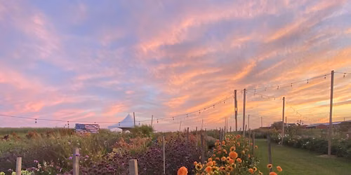Golden Hour Gathering - Blooms, Bites & Boutique Finds