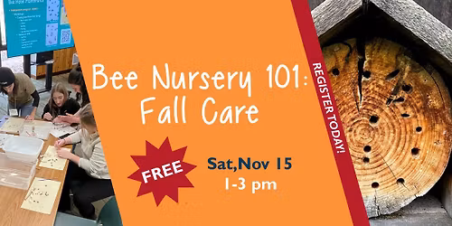Bee Nursery 101: Fall Care - Register Today!
