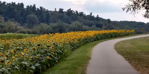 Estate Planning: Take Charge of Tomorrow