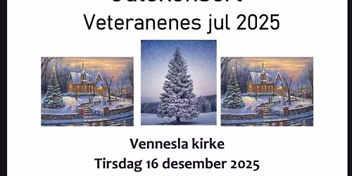 Veteranenes jul