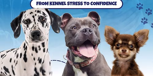 From Kennel Stress to Confidence Seminar