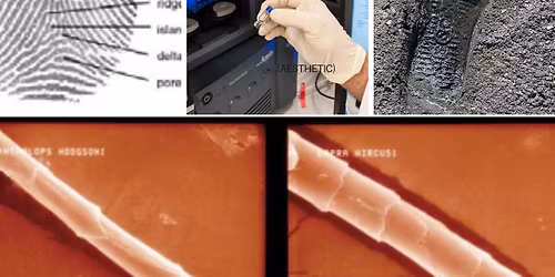 Ko-ko-ci Chapter Meeting 