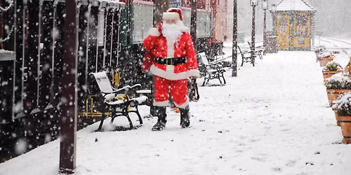 Santa's Polar Bear Express