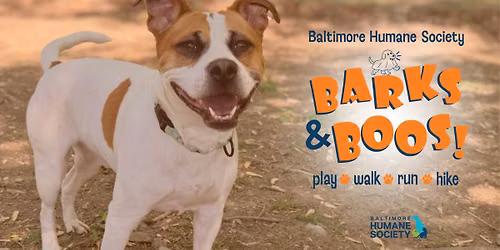 Barks & Boos! Play | Walk | Run | Hike Fall Festival and Fundraiser
