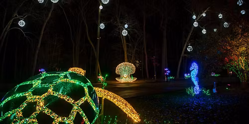 Wild Lights Wednesdays