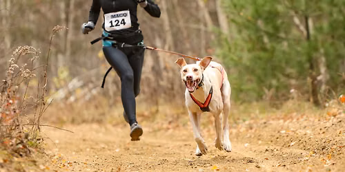 Musculation pour Sports Canins Attel\u00e9s