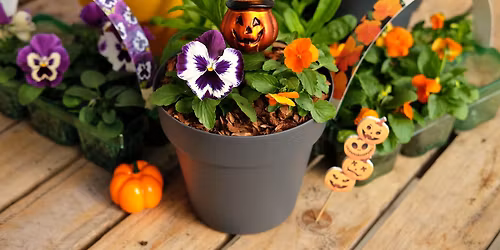 Children's Spooktacular Planter Workshop