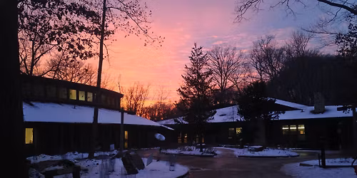 Light Up the Night Walk