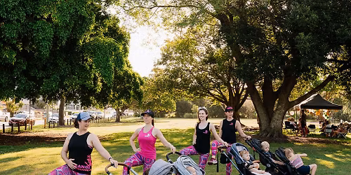 Summer Series Oratia Stream