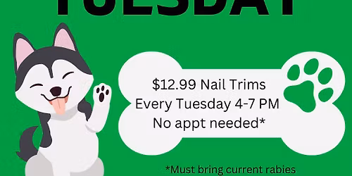 Toe Nail Tuesday (last one until 12\/2)