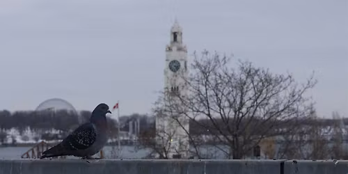 Brainhack Montreal Winter 2026