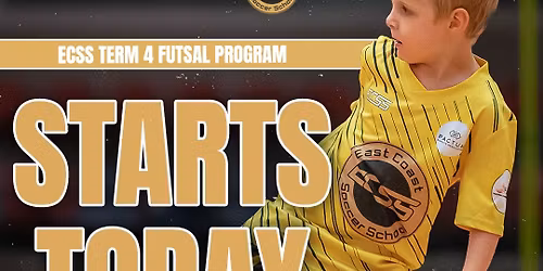 ECSS Term 4 Futsal Development Program - Niagara Park