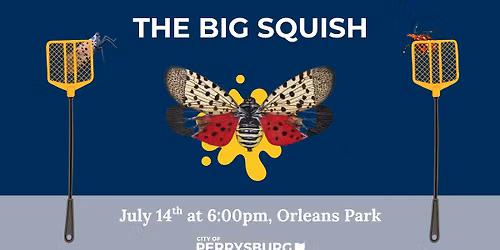 The Big Squish