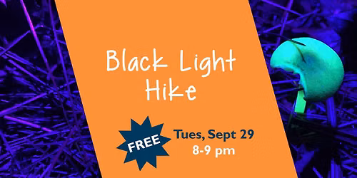 Black Light Hike