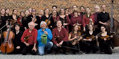 Lutherie Sauvage au Pays des cordes