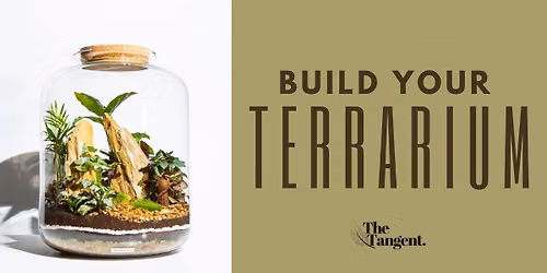 Build Your Own Terrarium
