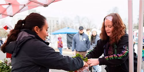 Wednesday Mini Farmers Market!