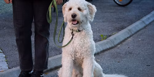 Fellestur for en god sak \ud83d\udc9a Matsentralen