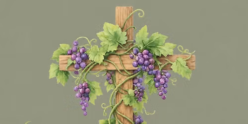 St. John\u2019s Family VBS \u201cI Am the Vine\u201d