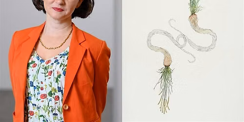 Roots and Rhizomes: Relational Networks in the Art of Carolina Caycedo