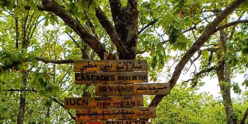 \u0631\u062d\u0644\u0629 \u0625\u0633\u062a\u0634\u0641\u0627\u0626\u064a\u0629 \u0648 \u062a\u0631\u0641\u064a\u0647\u064a\u0629 \u0648 \u0639\u0627\u0626\u0644\u064a\u0629 \ud83d\udc90