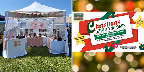 MFSMI at Christmas Under the Oaks!