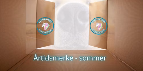 \u00c5rtidsmerke - sommer med Everydaydog