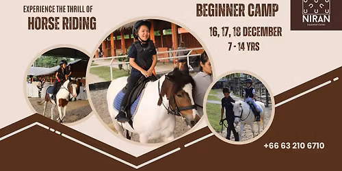 Beginner Horse Riding Camp