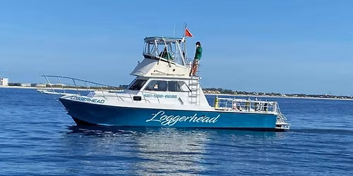 Local Dive with Loggerhead