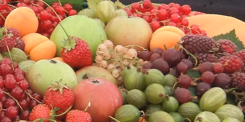 Annual General Meeting