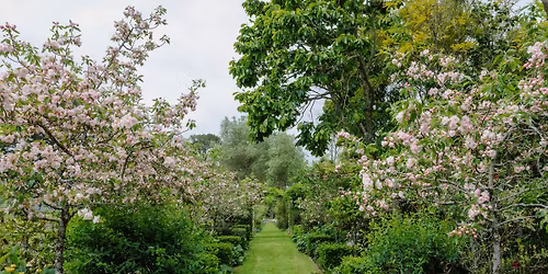 Explore the Beauty of North Taranaki\u2019s Premier Gardens