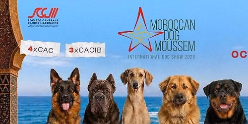 Moroccan Dog Moussem 2026